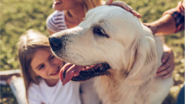 Happy dog with family