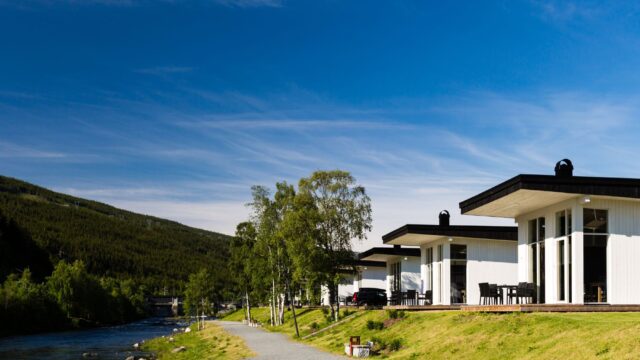 foreign property estates
