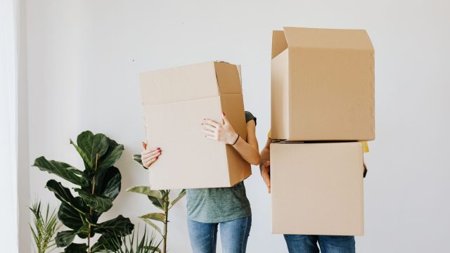 cohabitation law reform